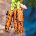 Les ajustements alimentaires pour maximiser les résultats d’un traitement par décompression neurovertébrale pour le cou 4 découvrez comment faire des ajustements alimentaires efficaces pour améliorer votre santé et votre bien-être. adoptez des habitudes nutritionnelles adaptées à vos besoins pour un mode de vie équilibré.