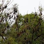 Décompression neurovertébrale : une thérapie complémentaire aux traitements classiques de la sténose spinale 4 découvrez la décompression neuro-vertébrale, une approche innovante pour soulager les douleurs dorsales et améliorer votre bien-être. grâce à des techniques ciblées, retrouvez une colonne vertébrale en santé et un meilleur confort au quotidien.