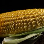 découvrez comment effectuer des ajustements nutritionnels efficaces pour améliorer votre santé et votre bien-être. apprenez à adapter votre alimentation en fonction de vos besoins spécifiques et à faire des choix éclairés pour une vie plus saine.