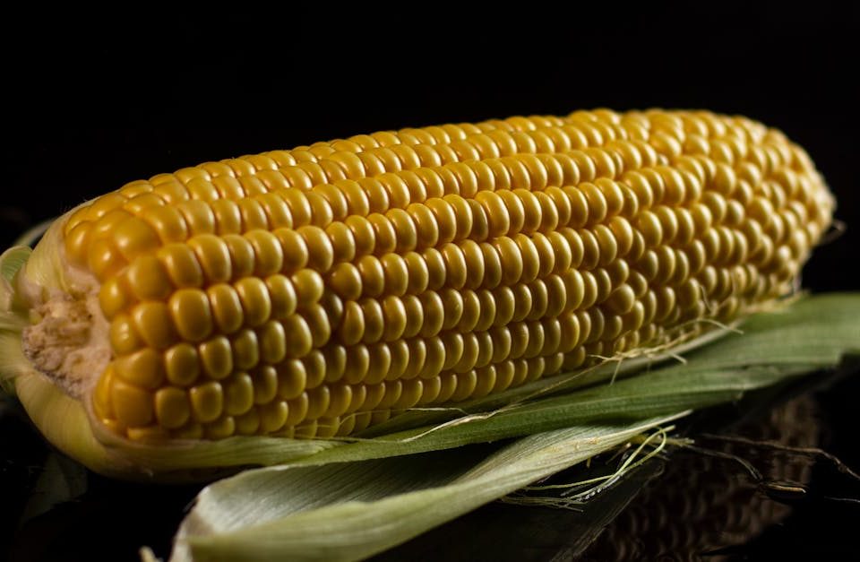 découvrez comment effectuer des ajustements nutritionnels efficaces pour améliorer votre santé et votre bien-être. apprenez à adapter votre alimentation en fonction de vos besoins spécifiques et à faire des choix éclairés pour une vie plus saine.