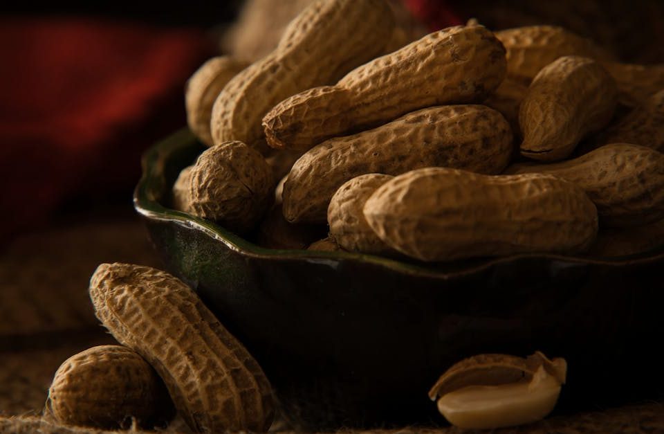 découvrez comment des ajustements alimentaires peuvent transformer votre santé et votre bien-être. apprenez à adapter votre alimentation pour répondre à vos besoins nutritionnels spécifiques et atteindre vos objectifs de santé.