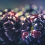 découvrez nos recommandations nutritionnelles pour adopter une alimentation équilibrée et saine qui favorise votre bien-être et votre vitalité au quotidien.