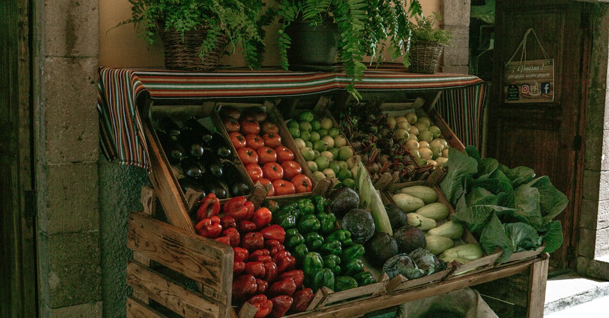 découvrez nos recommandations nutritionnelles adaptées à vos besoins pour améliorer votre santé, optimiser votre énergie et maintenir un équilibre alimentaire. apprenez à choisir les bons aliments et à élaborer des repas sains et variés.