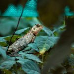 découvrez la décompression neuro-vertébrale, une technique innovante visant à soulager les douleurs dorsales et à améliorer la mobilité. apprenez comment cette approche thérapeutique aide à réduire la pression sur les nerfs et favorise la guérison naturelle du corps.