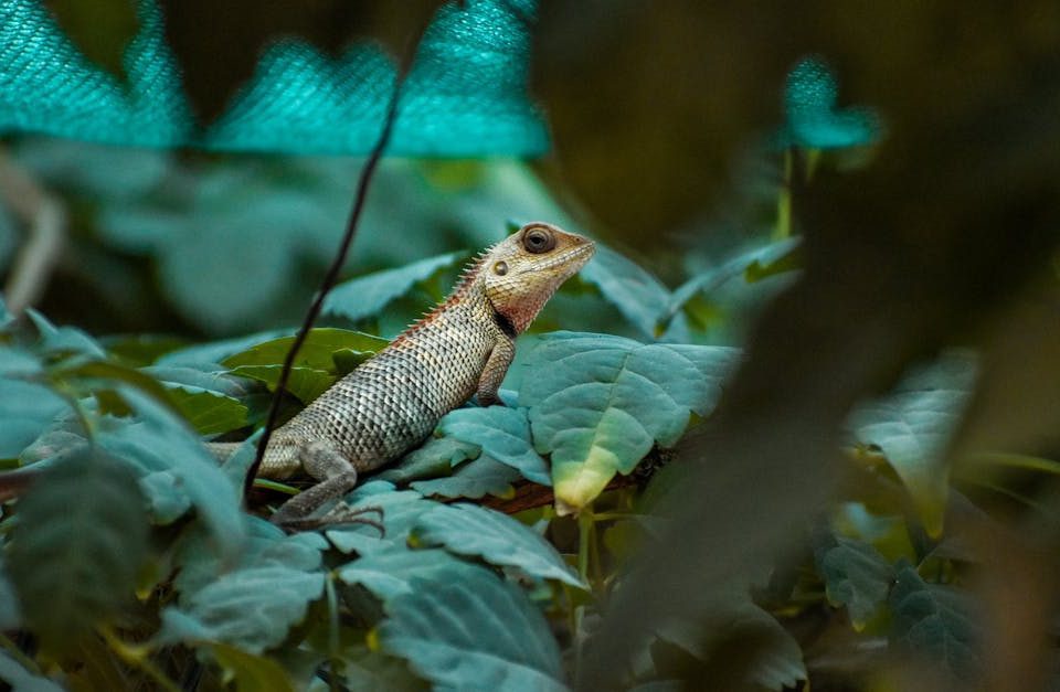découvrez la décompression neuro-vertébrale, une technique innovante visant à soulager les douleurs dorsales et à améliorer la mobilité. apprenez comment cette approche thérapeutique aide à réduire la pression sur les nerfs et favorise la guérison naturelle du corps.