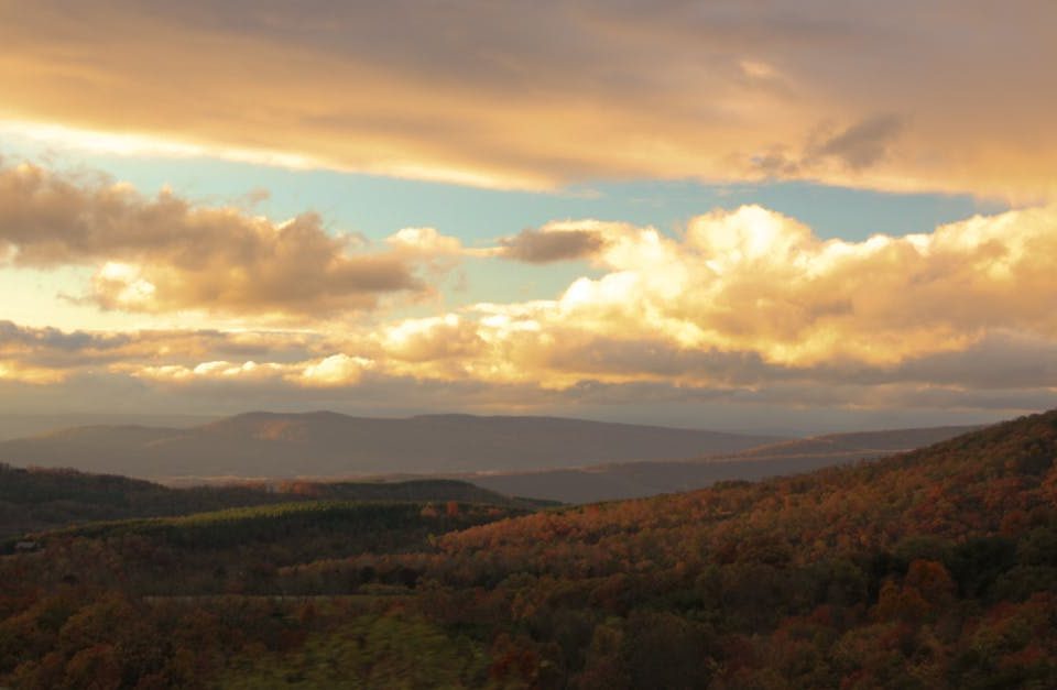 découvrez les bienfaits de la décompression neurovertébrale, une méthode innovante pour soulager les douleurs dorsales et améliorer la mobilité. découvrez comment cette approche thérapeutique peut transformer votre bien-être et votre qualité de vie.
