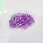 découvrez la décompression neuro-vertébrale, une technique innovante pour soulager les douleurs dorsales et améliorer votre bien-être. apprenez comment cette méthode peut aider à libérer les nerfs comprimés et favoriser une meilleure santé vertébrale.