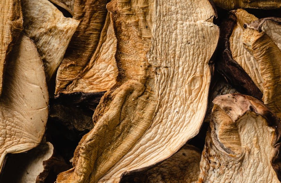 découvrez comment des ajustements nutritionnels simples peuvent transformer votre santé et votre bien-être. apprenez à équilibrer vos repas, à choisir des aliments bénéfiques et à adopter un mode de vie sain pour atteindre vos objectifs nutritionnels.