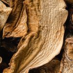 découvrez nos recommandations nutritionnelles pour une alimentation équilibrée et saine. apprenez à choisir les bons aliments, à planifier vos repas et à améliorer votre bien-être grâce à des conseils adaptés à vos besoins.