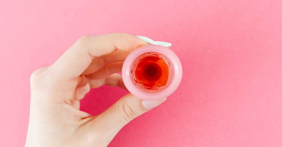 découvrez tout sur les cervicales : anatomie, pathologies courantes, traitements et conseils pour soulager vos douleurs cervicales. informez-vous sur les meilleures pratiques pour maintenir une bonne santé de votre cou.