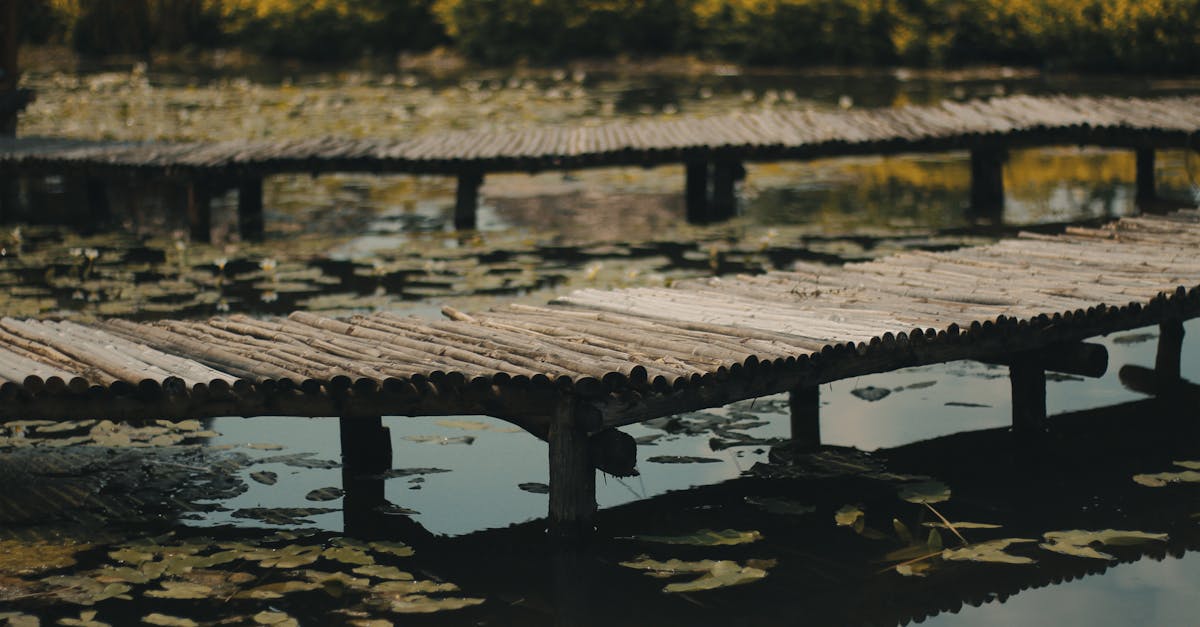 découvrez les bienfaits de la décompression pour votre bien-être mental et physique. apprenez des techniques efficaces pour réduire le stress et améliorer votre qualité de vie grâce à des méthodes de relaxation adaptées.