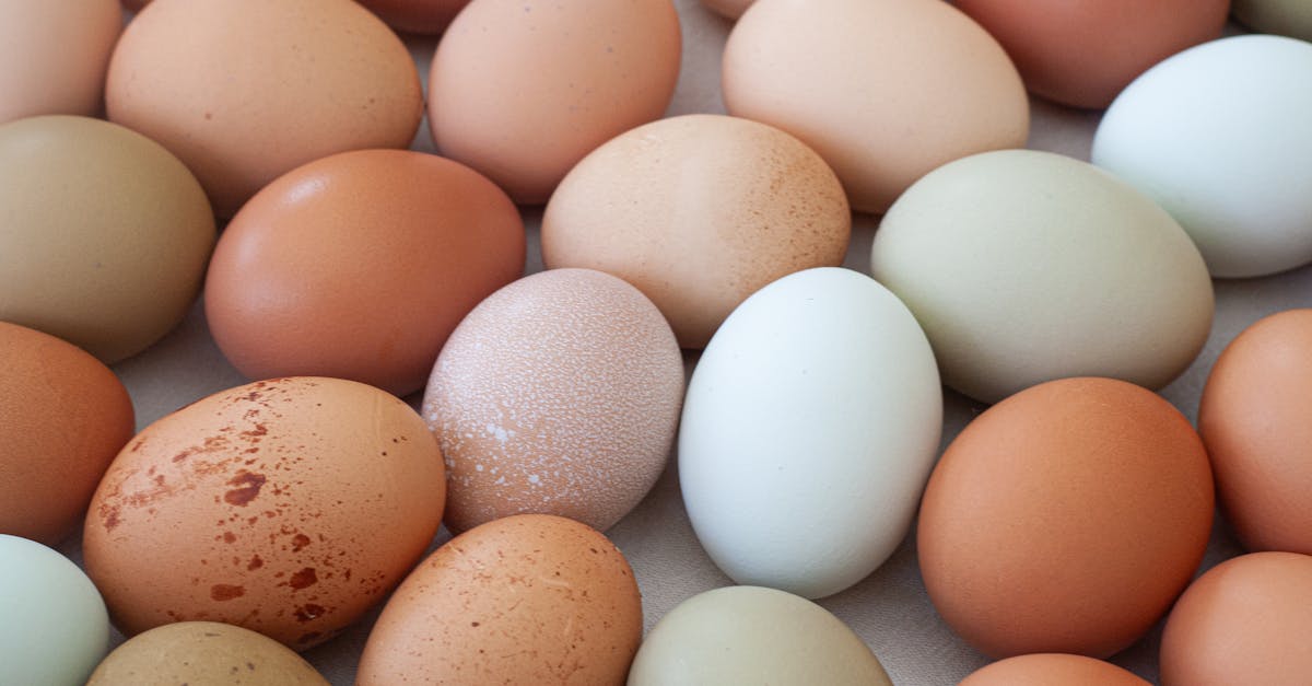 Les ajustements alimentaires pour soutenir un traitement de décompression neurovertébrale 3 découvrez comment des ajustements nutritionnels peuvent transformer votre santé et améliorer votre bien-être. explorez des conseils pratiques pour adopter une alimentation équilibrée et adaptée à vos besoins individuels.