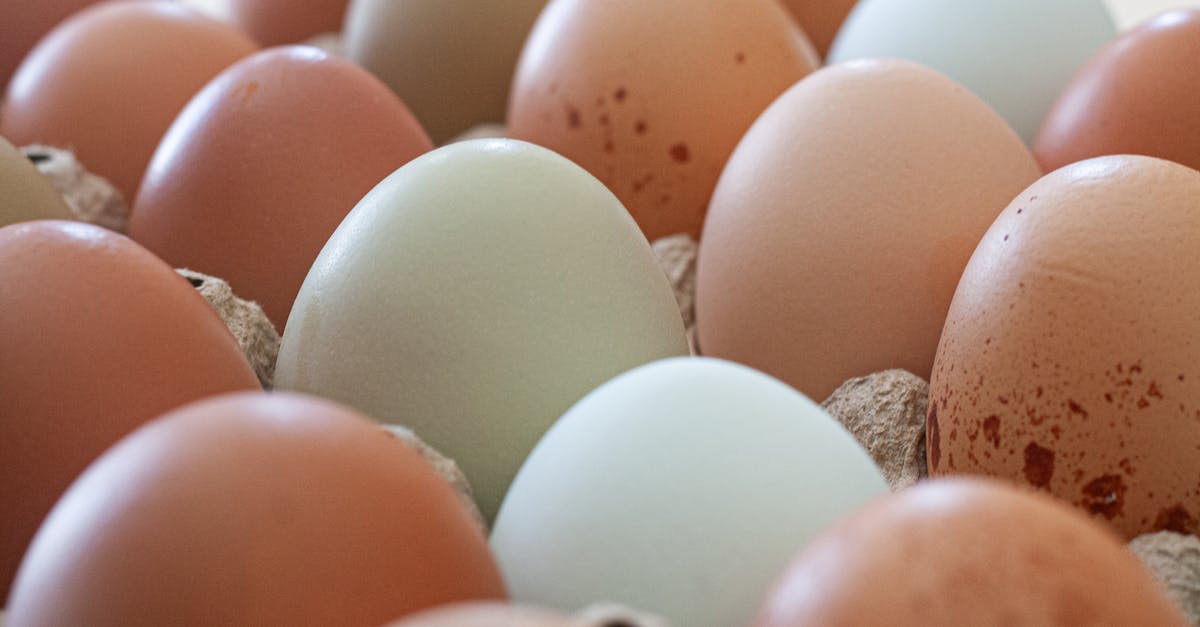 Les ajustements alimentaires pour soutenir un traitement de décompression neurovertébrale 4 découvrez comment des ajustements nutritionnels peuvent transformer votre santé et votre bien-être. apprenez à adapter votre alimentation pour optimiser vos niveaux d'énergie, renforcer votre système immunitaire et soutenir votre métabolisme. explorez des conseils pratiques pour intégrer des habitudes alimentaires saines dans votre quotidien.