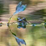 découvrez les bienfaits de la décompression neuro-vertébrale pour soulager vos douleurs dorsales et améliorer votre mobilité. cette méthode innovante vise à réduire la pression sur les disques intervertébraux, favorisant ainsi une meilleure santé vertébrale et un bien-être durable.