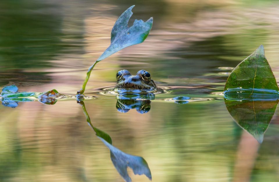 découvrez les bienfaits de la décompression neuro-vertébrale pour soulager vos douleurs dorsales et améliorer votre mobilité. cette méthode innovante vise à réduire la pression sur les disques intervertébraux, favorisant ainsi une meilleure santé vertébrale et un bien-être durable.