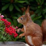 découvrez les bienfaits de la décompression neuro-vertébrale, une méthode innovante pour soulager les douleurs lombaires et cervicales. améliorez votre qualité de vie grâce à cette approche non invasive qui cible les problèmes de colonne vertébrale.