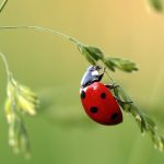 Décompression neurovertébrale : une thérapie pour réduire les douleurs nocturnes 7 découvrez la décompression vertébrale, une technique innovante pour soulager les douleurs lombaires et cervicales, améliorer la mobilité et favoriser la santé de votre colonne vertébrale. apprenez-en plus sur ses bienfaits et comment elle peut transformer votre qualité de vie.