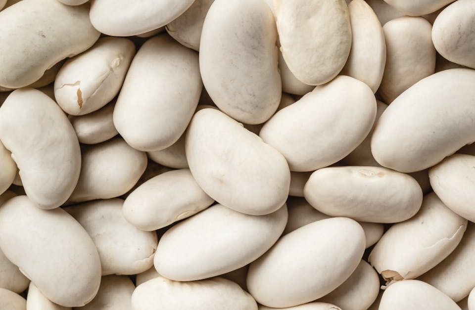 découvrez comment des ajustements nutritionnels peuvent transformer votre santé et votre bien-être. apprenez à adapter votre alimentation pour répondre à vos besoins spécifiques et améliorer votre vitalité au quotidien.