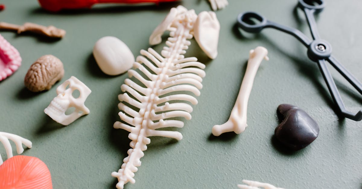 découvrez notre service de diagnostic complet pour évaluer et optimiser les performances de vos équipements et systèmes. profitez d'analyses approfondies et de conseils d'experts pour garantir fiabilité et efficacité.