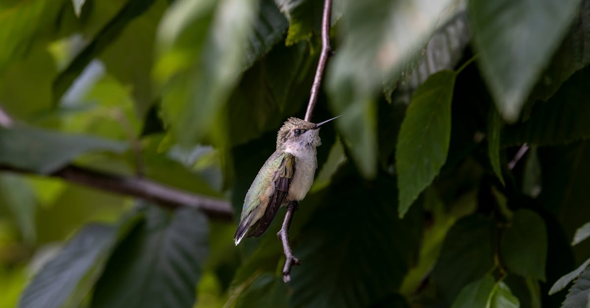 Décompression neurovertébrale : une thérapie complémentaire pour soulager les douleurs neuropathiques nocturnes complexes 7 découvrez la décompression neuro-vertébrale, une technique novatrice visant à soulager les douleurs dorsales et cervicales. profitez d'un bien-être amélioré grâce à cette méthode non invasive qui cible les sources de tension et favorise le maintien de la santé vertébrale.