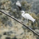 découvrez comment les ajustements posturaux peuvent améliorer votre bien-être et votre performance. apprenez des techniques simples pour corriger votre posture et réduire les douleurs corporelles au quotidien.