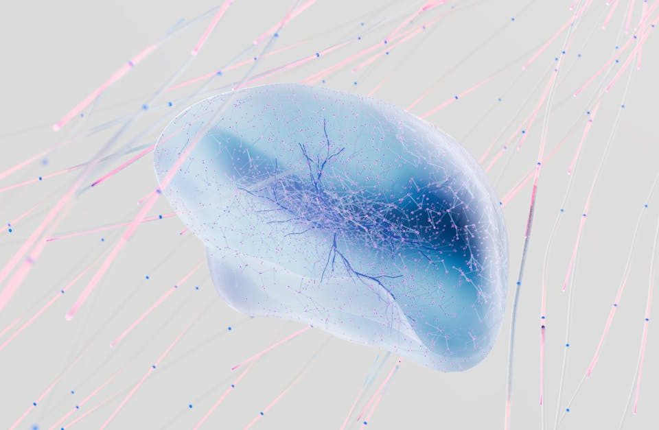 découvrez la décompression neuro-spinale, une technique innovante visant à soulager les douleurs chroniques au dos et au cou en libérant la pression sur les nerfs et les disques intervertébraux. améliorez votre bien-être et retrouvez une mobilité optimale grâce à des traitements personnalisés et non invasifs.
