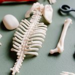 découvrez nos services de diagnostic précis et fiables pour détecter les problèmes rapidement et efficacement. faites confiance à nos experts pour une évaluation complète et des solutions adaptées à vos besoins.