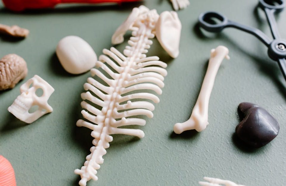 Les étapes pour établir un diagnostic précis avant d’entreprendre un programme de décompression neurovertébrale avancé 4 découvrez nos services de diagnostic précis et fiables pour détecter les problèmes rapidement et efficacement. faites confiance à nos experts pour une évaluation complète et des solutions adaptées à vos besoins.