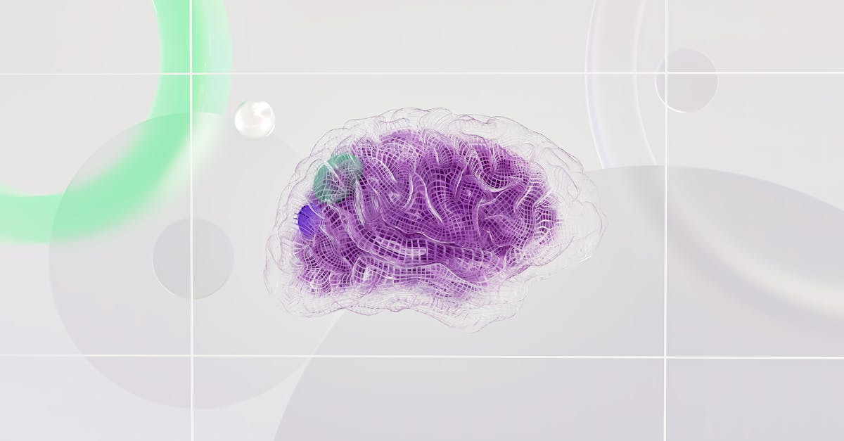 découvrez les innovations futures qui transformeront notre quotidien et façonneront le monde de demain. explorez les tendances technologiques émergentes, les avancées scientifiques et les idées révolutionnaires qui vont redéfinir notre façon de vivre, travailler et interagir.