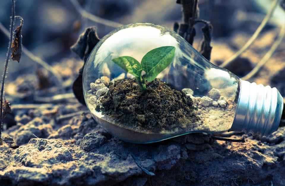 découvrez les innovations futures qui façonneront notre monde, des technologies émergentes aux avancées scientifiques. restez informé des tendances et des idées révolutionnaires qui attendent d'être dévoilées.