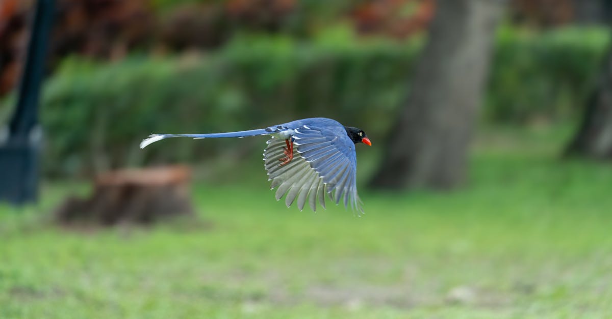 découvrez la décompression neuro-vertébrale, une technique innovante visant à soulager la douleur et à améliorer la mobilité. cette méthode douce et non invasive cible les problèmes de la colonne vertébrale pour favoriser un meilleur bien-être physique.