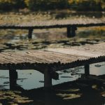 découvrez la décompression neurovertébrale, une technique efficace pour soulager les douleurs dorsales et améliorer la qualité de vie. apprenez comment cette approche thérapeutique innovante cible les problèmes de colonne vertébrale et favorise la guérison naturelle.