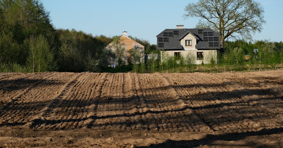 découvrez la technologie de décompression neurospin, une méthode innovante conçue pour soulager efficacement les douleurs du dos et améliorer la santé de la colonne vertébrale. informez-vous sur ses avantages, son fonctionnement et les témoignages de patients satisfaits.