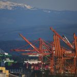 découvrez la technologie de décompression neurospinale, une approche innovante pour soulager la douleur et améliorer la santé du dos. explorez ses bénéfices, son fonctionnement et comment elle peut transformer votre qualité de vie.