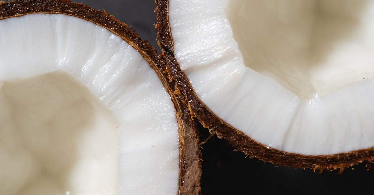 découvrez comment les ajustements nutritionnels peuvent transformer votre santé et votre bien-être. apprenez à équilibrer votre alimentation pour optimiser votre énergie, votre poids et votre vitalité au quotidien.