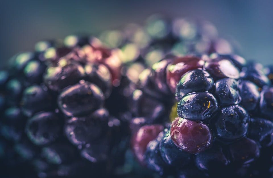 découvrez comment des ajustements nutritionnels peuvent transformer votre santé et votre bien-être. apprenez à adapter votre alimentation pour atteindre vos objectifs de forme physique et améliorer votre vitalité au quotidien.