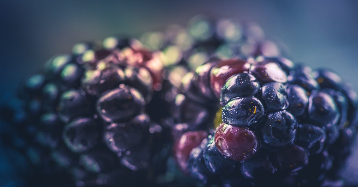 Les recommandations nutritionnelles pour soutenir un programme de décompression neurovertébrale intensif 7 découvrez nos recommandations nutritionnelles pour adopter une alimentation équilibrée et saine. obtenez des conseils pratiques sur les nutriments essentiels, les portions idéales et les meilleures pratiques pour améliorer votre bien-être au quotidien.