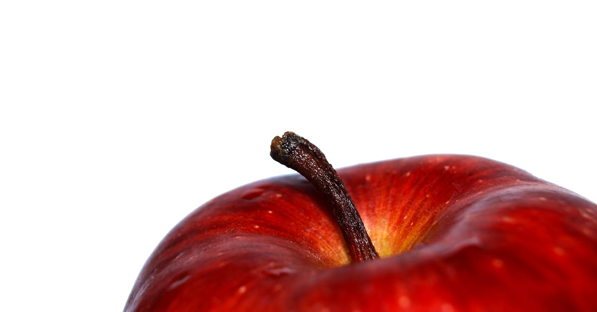 découvrez comment effectuer des ajustements alimentaires efficaces pour améliorer votre santé et bien-être. explorez des conseils pratiques, des recettes équilibrées et des stratégies pour adopter un mode de vie sain.