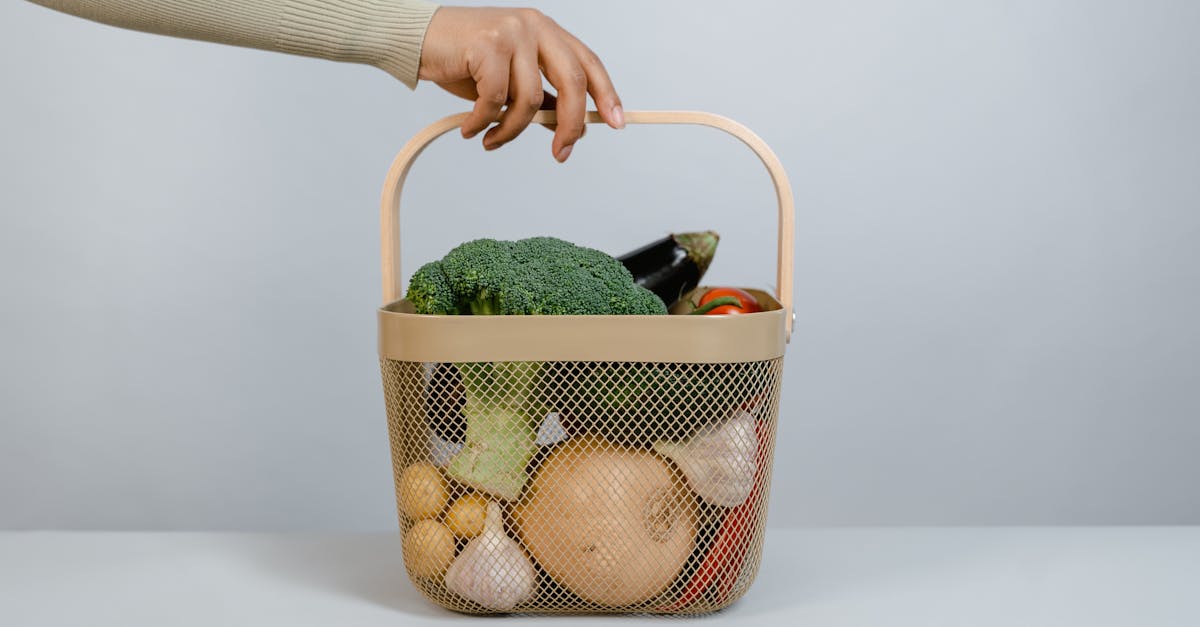 découvrez les ajustements alimentaires nécessaires pour améliorer votre santé et votre bien-être. apprenez à adapter votre régime alimentaire pour répondre à vos besoins nutritionnels tout en savourant de délicieuses recettes. transformez votre approche de l'alimentation avec nos conseils pratiques et accessibles.