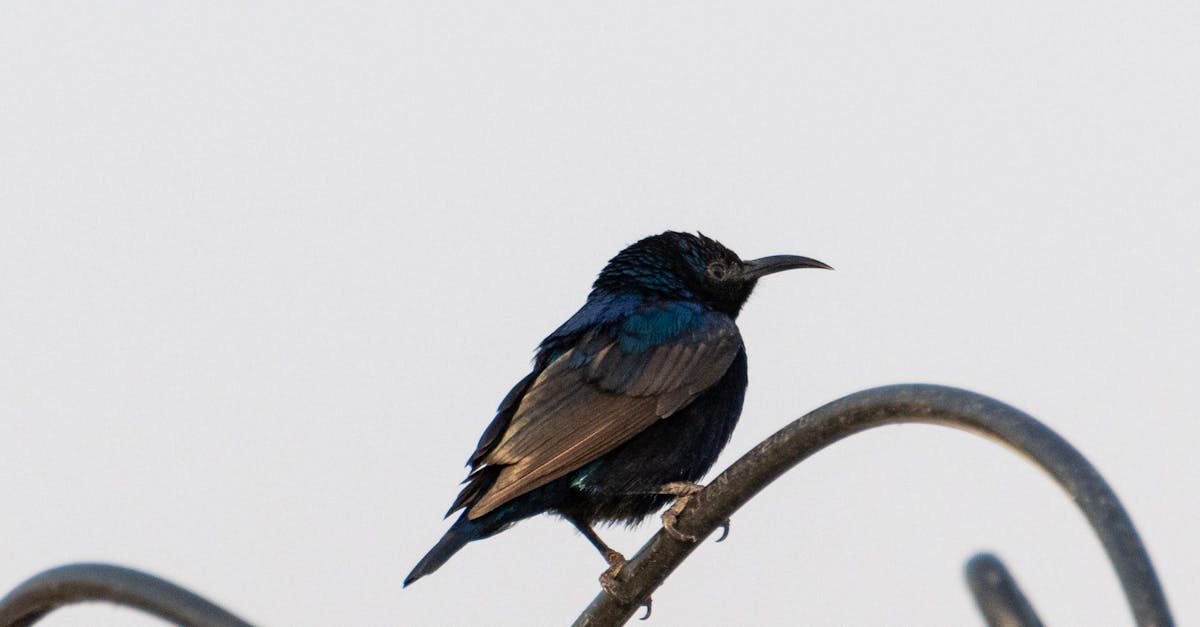 découvrez la décompression neuro-vertébrale, une méthode thérapeutique innovante qui soulage les douleurs dorsales et favorise la santé de votre colonne vertébrale. profitez d'un bien-être durable grâce à des techniques adaptées à vos besoins.