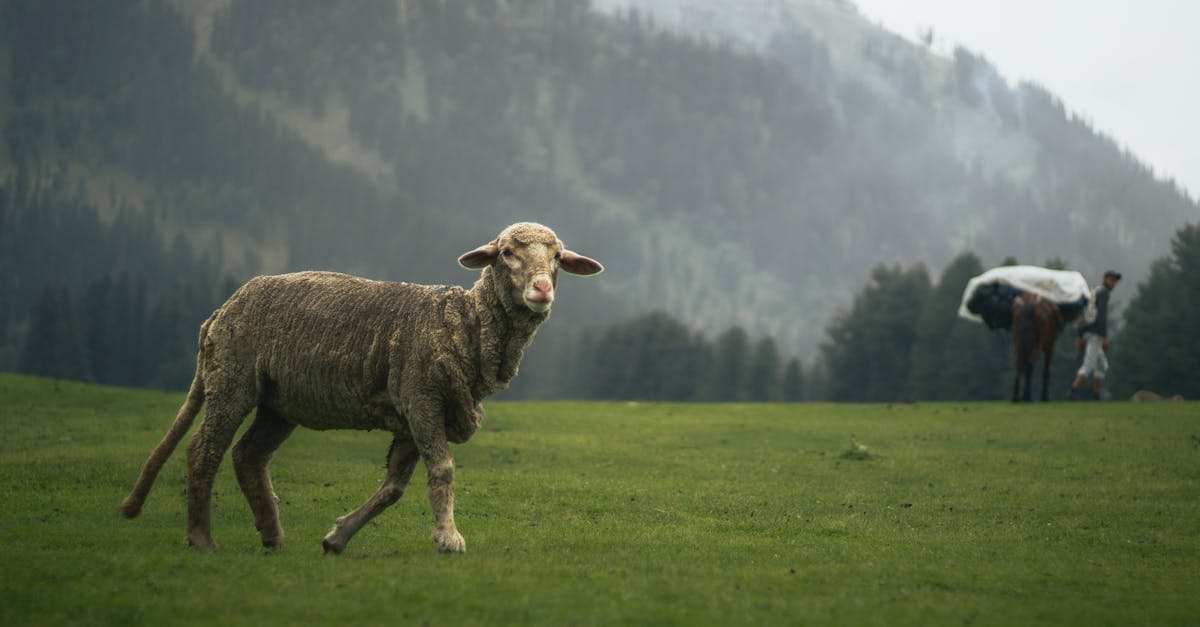 découvrez la décompression neuro-vertébrale, une technique innovante visant à soulager les douleurs dorsales et à améliorer la santé de votre colonne vertébrale. en savoir plus sur ses avantages et son fonctionnement pour retrouver bien-être et mobilité.