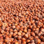 découvrez comment des ajustements nutritionnels peuvent transformer votre santé et votre bien-être. apprenez à adapter votre alimentation pour atteindre vos objectifs de forme physique, améliorer votre énergie et favoriser une meilleure digestion. explorez des conseils pratiques et des stratégies pour une nutrition équilibrée.