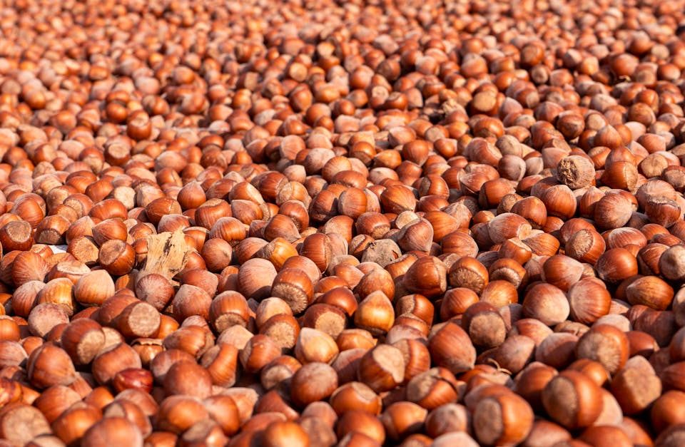 découvrez comment des ajustements nutritionnels peuvent transformer votre santé et votre bien-être. apprenez à adapter votre alimentation pour atteindre vos objectifs de forme physique, améliorer votre énergie et favoriser une meilleure digestion. explorez des conseils pratiques et des stratégies pour une nutrition équilibrée.