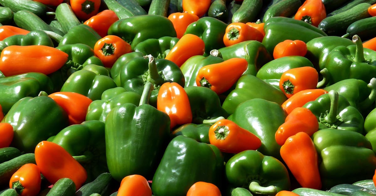 découvrez comment des ajustements nutritionnels peuvent transformer votre bien-être. adoptez des habitudes alimentaires saines pour améliorer votre énergie, votre santé et votre qualité de vie.