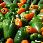 découvrez comment des ajustements nutritionnels peuvent transformer votre santé et votre bien-être. apprenez à équilibrer vos repas, optimiser vos apports en vitamines et minéraux, et atteindre vos objectifs personnels grâce à des conseils pratiques et des recettes savoureuses.