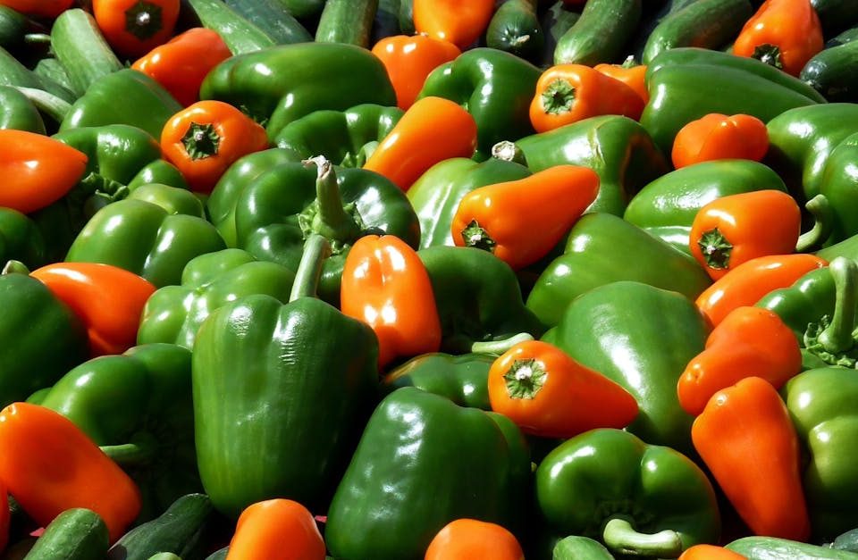découvrez comment des ajustements nutritionnels peuvent transformer votre santé et votre bien-être. apprenez à équilibrer vos repas, optimiser vos apports en vitamines et minéraux, et atteindre vos objectifs personnels grâce à des conseils pratiques et des recettes savoureuses.