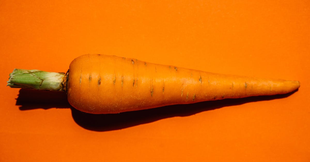 découvrez comment les ajustements alimentaires peuvent améliorer votre santé et votre bien-être. bénéficiez de conseils pratiques pour adapter votre alimentation à vos besoins spécifiques.