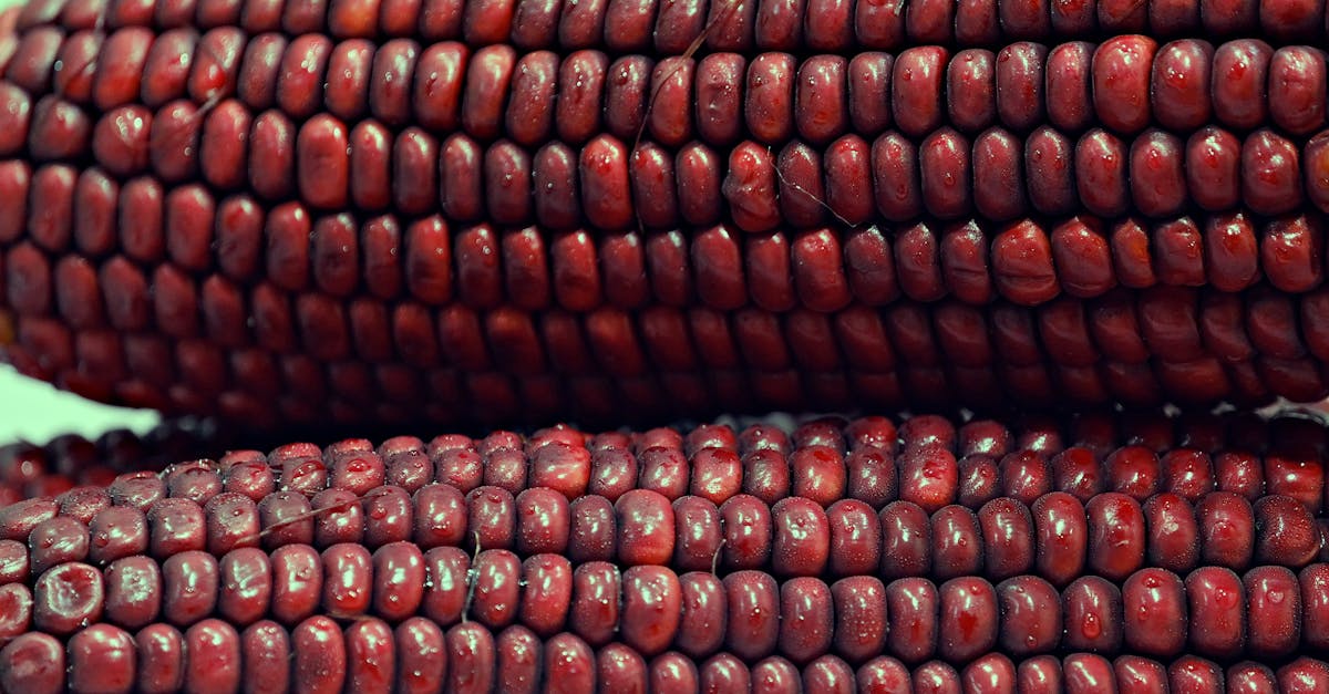 Les ajustements alimentaires pour améliorer les résultats d’un traitement par décompression neurovertébrale 7 découvrez comment adapter votre alimentation grâce à des conseils pratiques sur les ajustements diététiques pour améliorer votre santé et votre bien-être au quotidien.