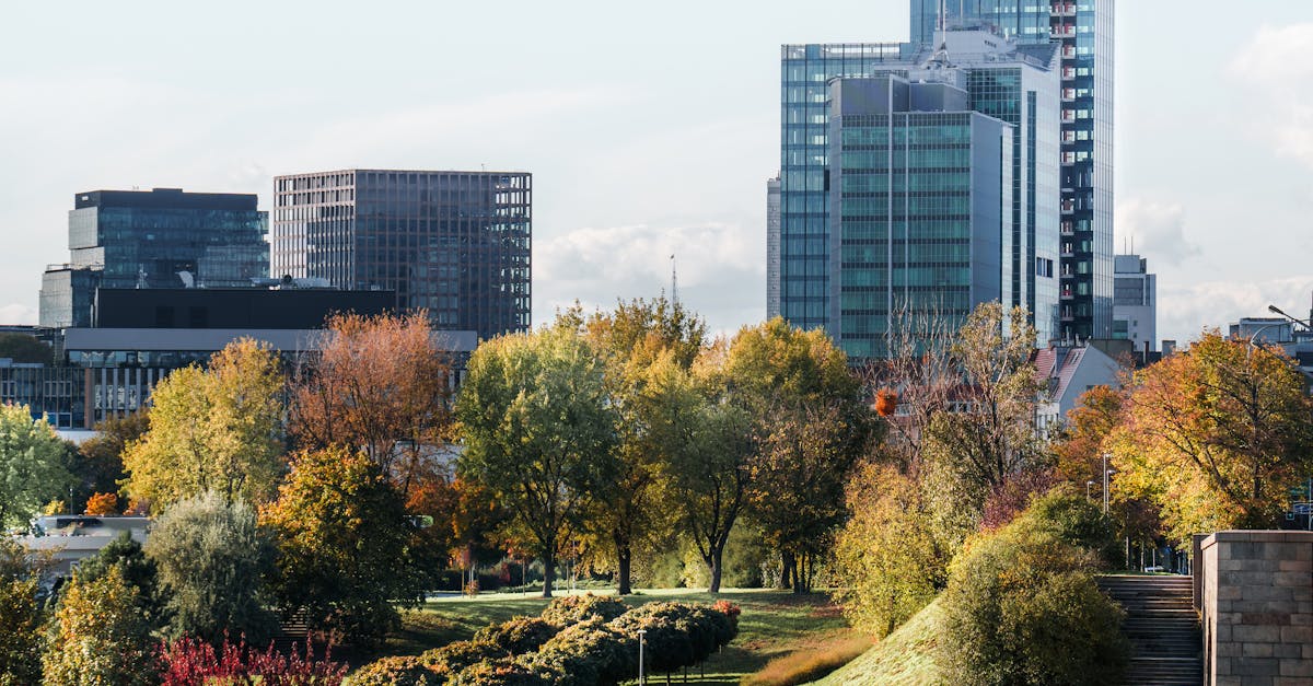 Les innovations futures dans les protocoles de décompression neurovertébrale pour optimiser les traitements avancés 7 découvrez la neuro décompression : une technique innovante visant à soulager les douleurs nerveuses et à améliorer la qualité de vie. informez-vous sur les indications, les bénéfices et le déroulement de cette approche médicale.