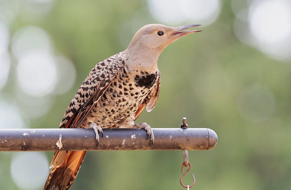 découvrez la décompression neuro-vertébrale, une approche innovante pour soulager les douleurs dorsales et améliorer votre bien-être. profitez d'une technique non invasive qui cible les racines nerveuses et favorise la régénération des disques intervertébraux. consultez nos experts pour un traitement personnalisé et retrouvez une meilleure qualité de vie.